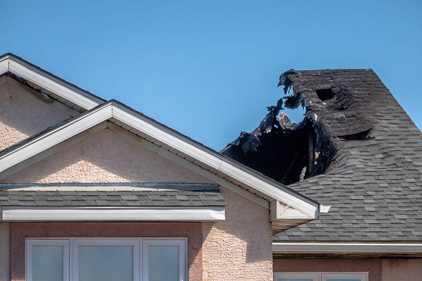 Top rated local Fire Damage Removal specialists in Mercer Island, WA